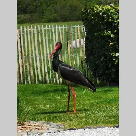 Lo'rée Des Prés Appartement Grandrieu