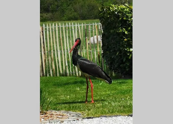 Lo'rée Des Prés Appartement Grandrieu